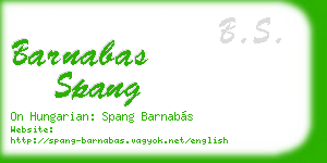 barnabas spang business card